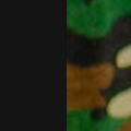 Black / Camo Green